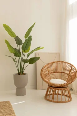 PrettyPlants Kunstplant Strelitzia Maikel 160cm