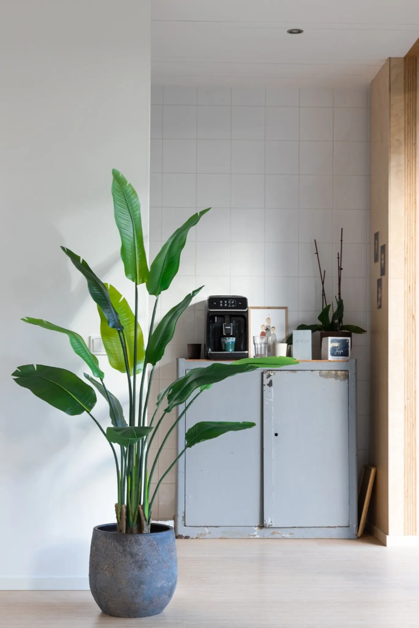 PrettyPlants Kunstplant Strelitzia Maikel 160cm