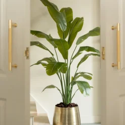 PrettyPlants Kunstplant Strelitzia Joyce 180cm