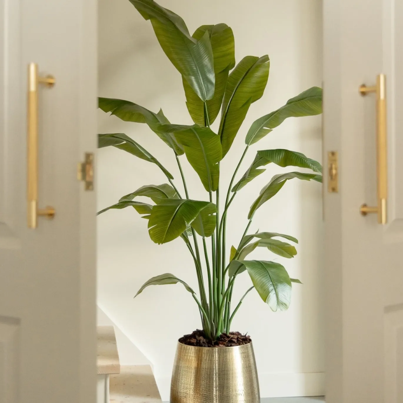 PrettyPlants Kunstplant Strelitzia Joyce 180cm