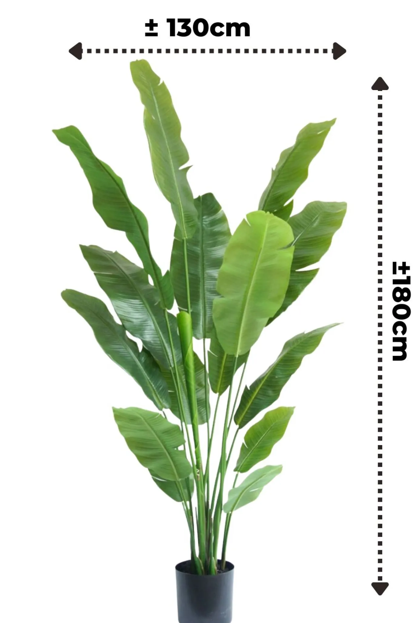 PrettyPlants Kunstplant Strelitzia Joyce 180cm