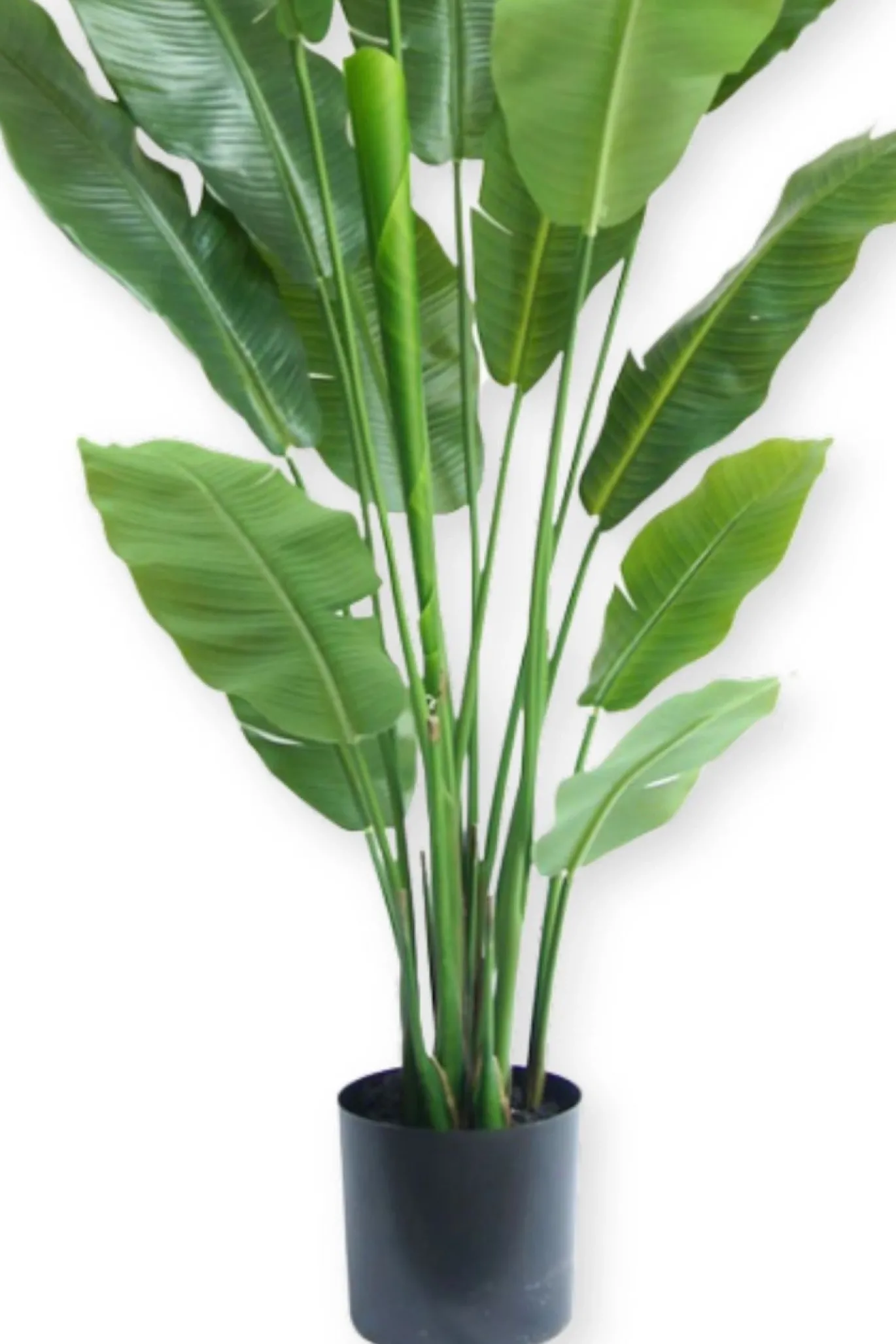 PrettyPlants Kunstplant Strelitzia Joyce 180cm