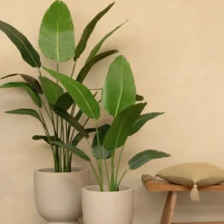 PrettyPlants Kunstplant Strelitzia Mitchel 120cm