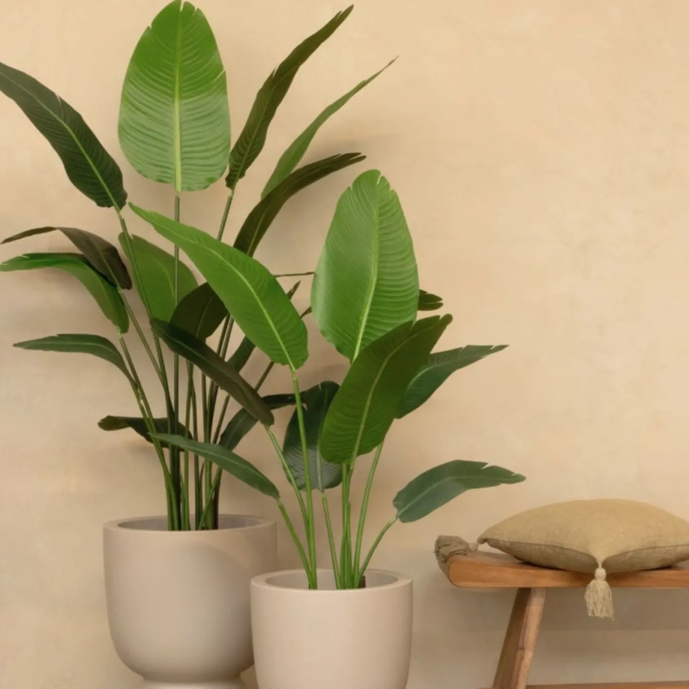 PrettyPlants Kunstplant Strelitzia Mitchel 120cm