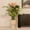 PrettyPlants Kunstplant Strelitzia met Bloem 120cm