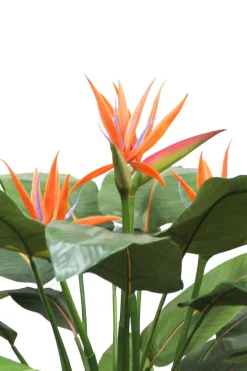 PrettyPlants Kunstplant Strelitzia met Bloem 120cm