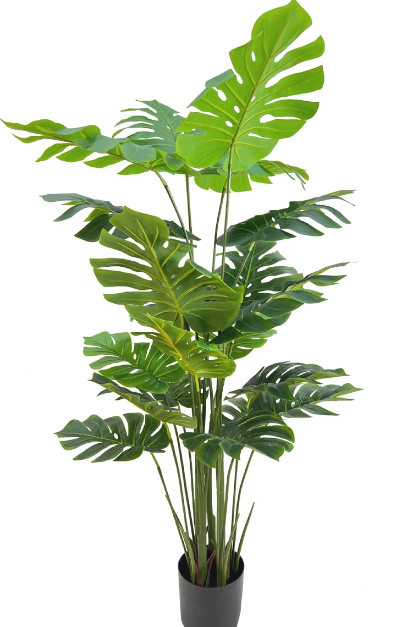 PrettyPlants Monstera Kunstplant Misty 165cm