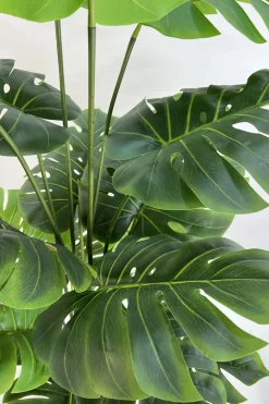 PrettyPlants Monstera Kunstplant Misty 165cm