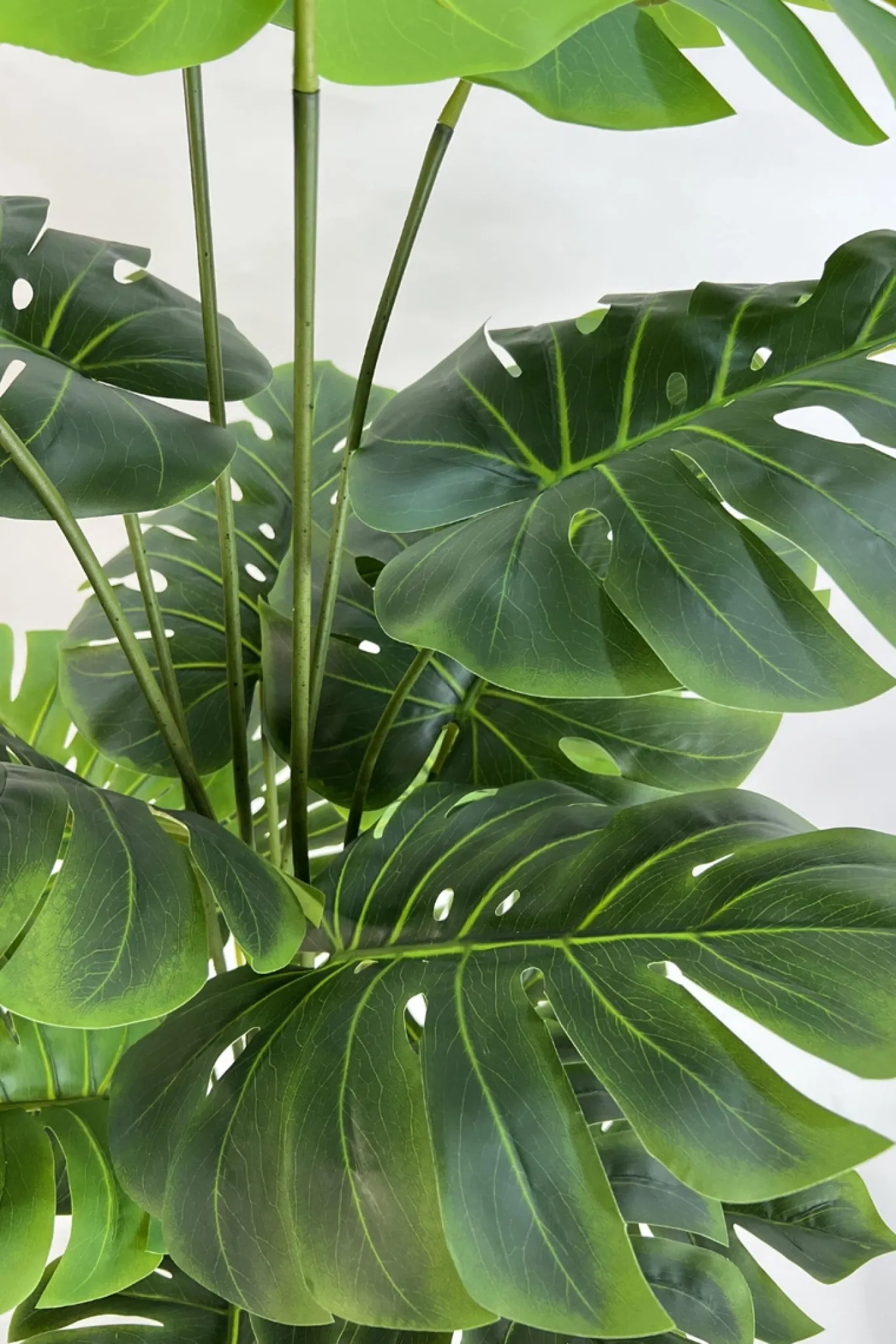 PrettyPlants Monstera Kunstplant Misty 165cm