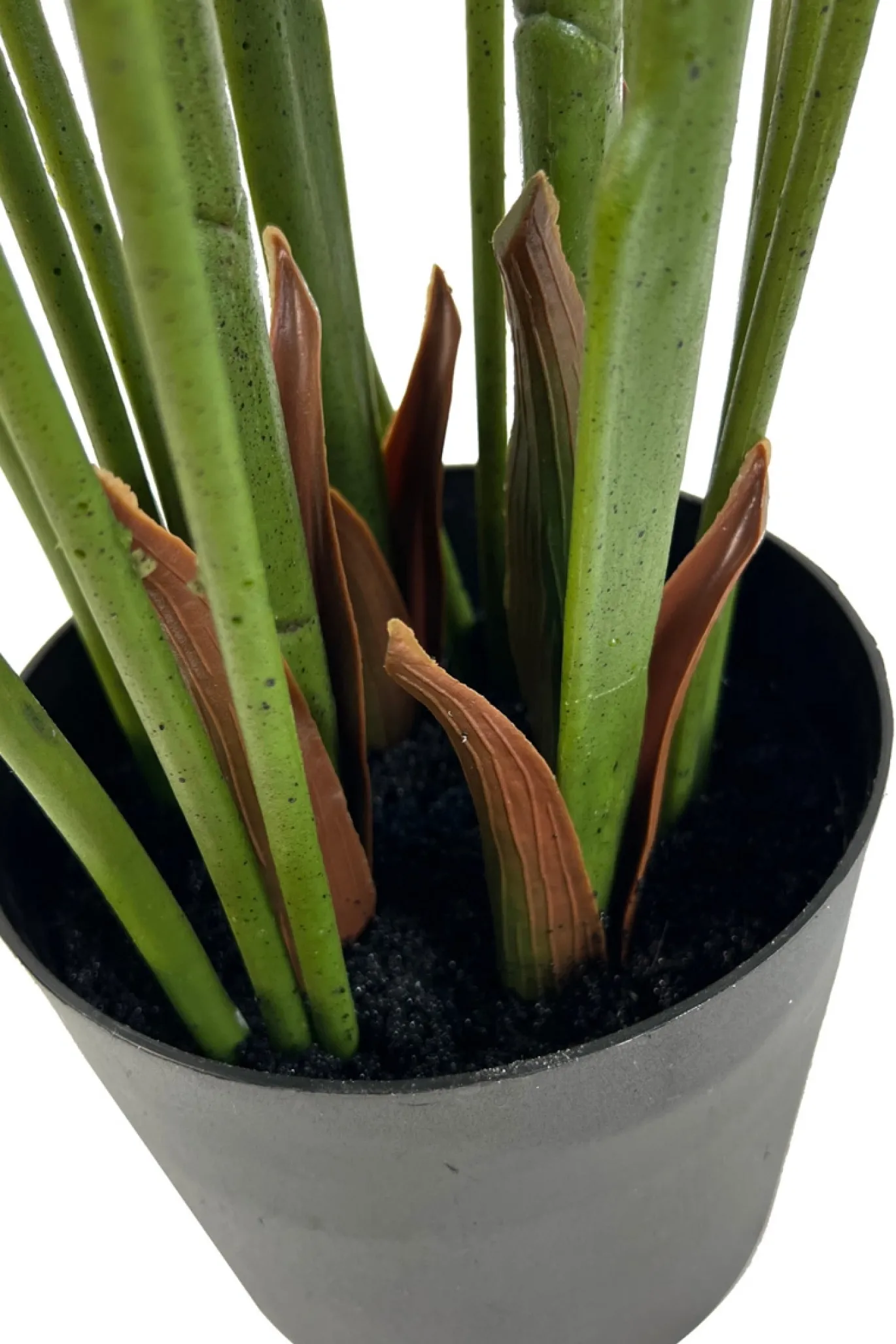 PrettyPlants Monstera Kunstplant Misty 165cm
