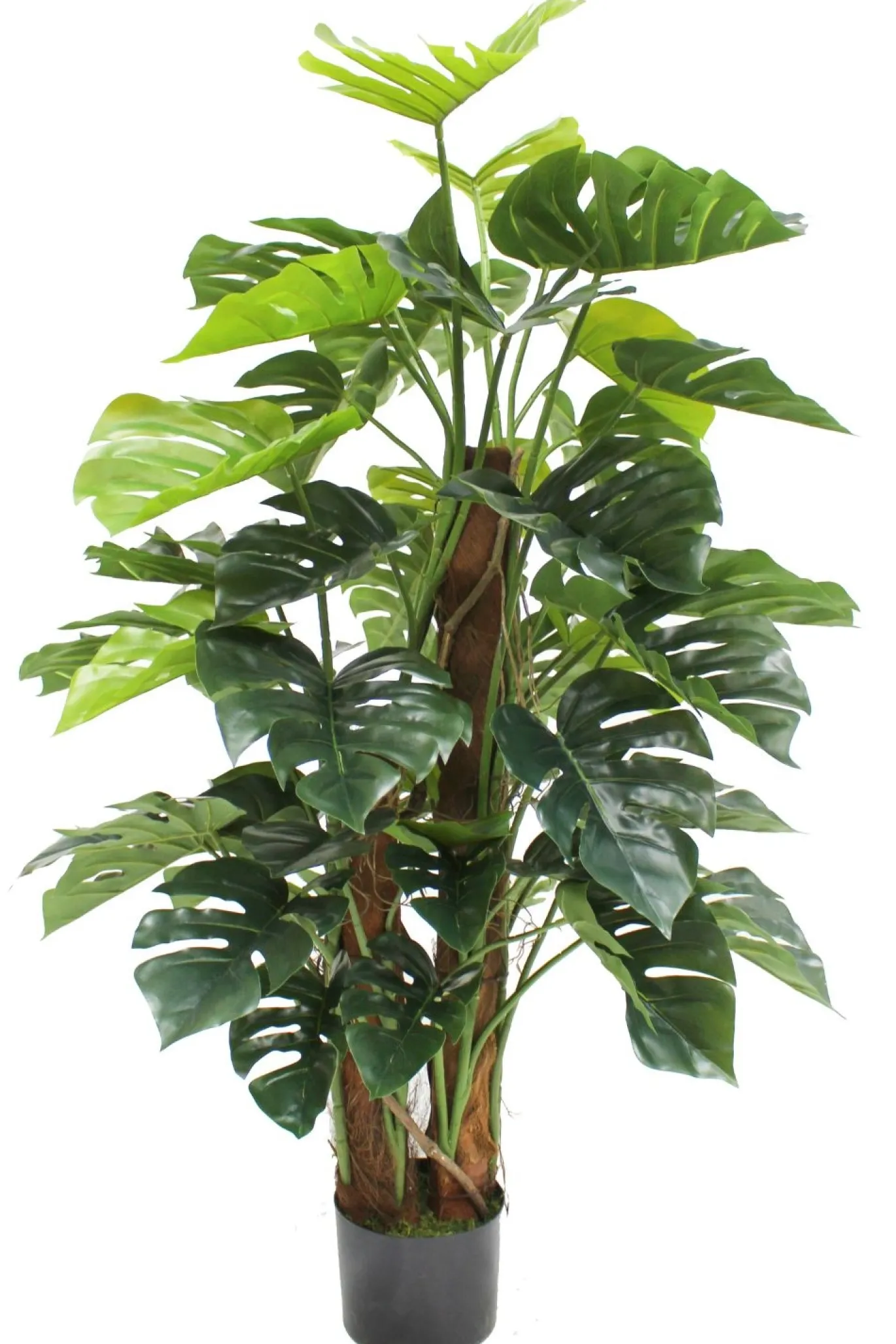 PrettyPlants Monstera Kunstplant Brock 120cm