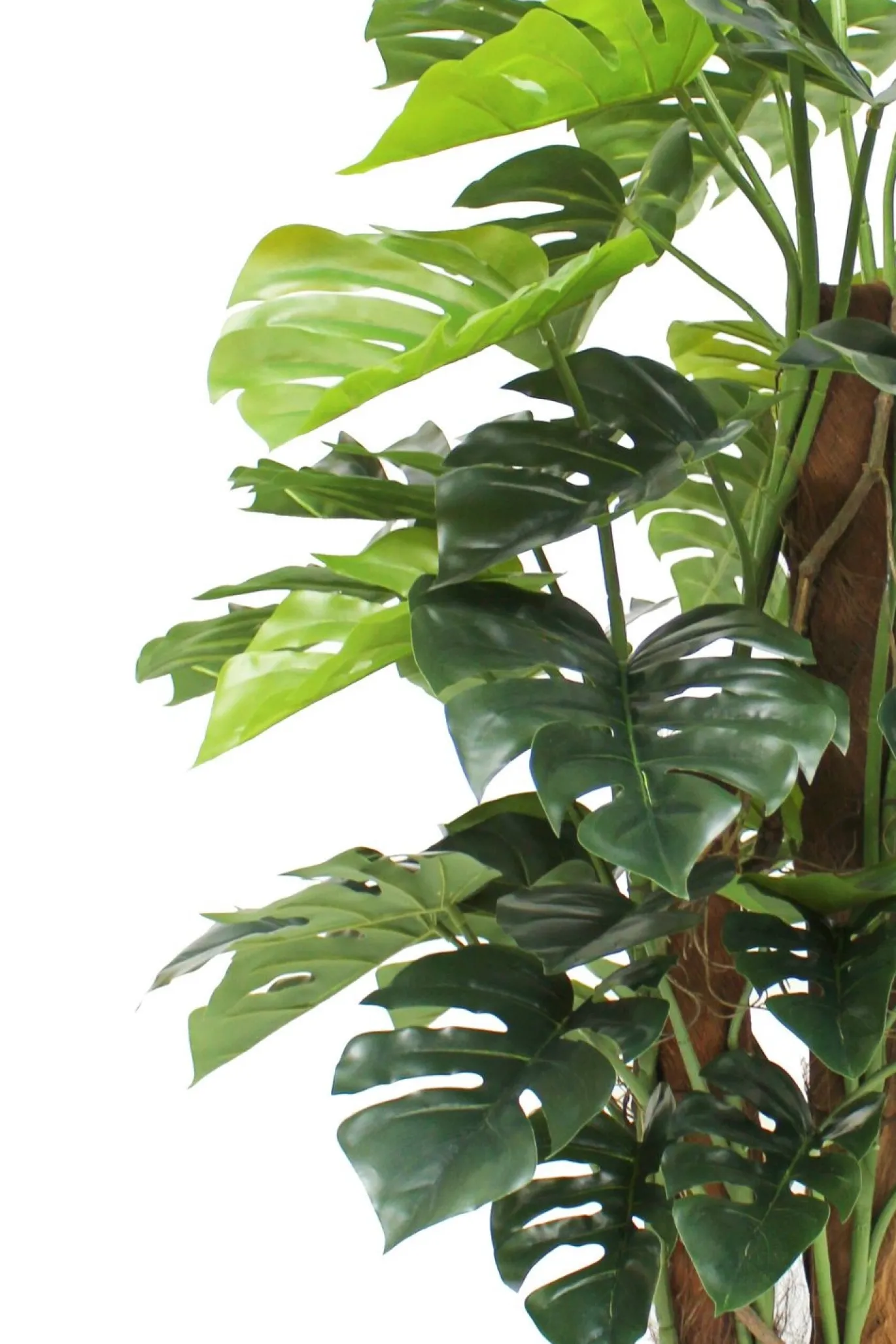 PrettyPlants Monstera Kunstplant Brock 120cm