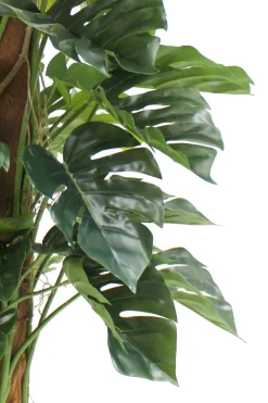 PrettyPlants Monstera Kunstplant Brock 120cm