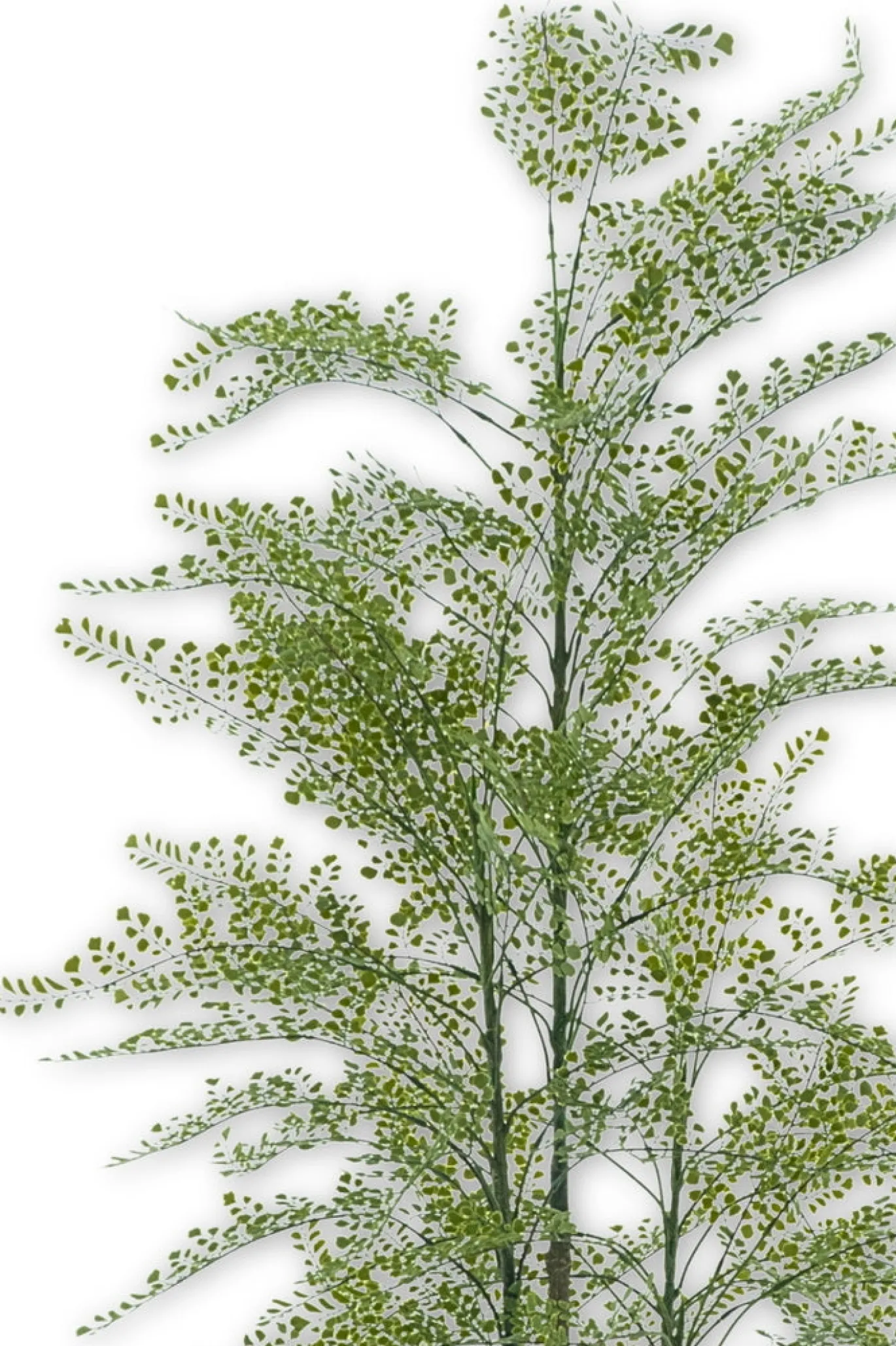 PrettyPlants Varen Kunstplant Maidenhair 180cm