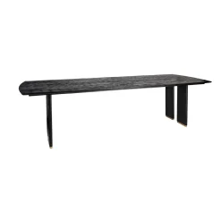 PTMD Eettafel Liber Zwart Mangohout 200cm