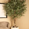 PTMD Kunstboom Olijfboom 265cm