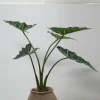 PTMD Kunstplant Alocasia S