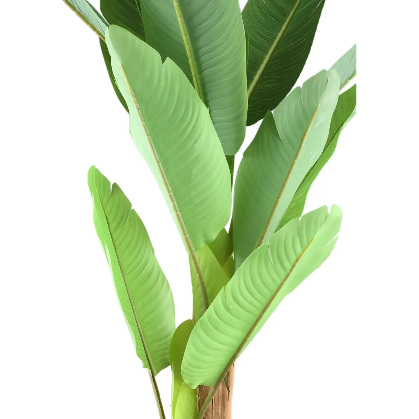 PTMD Kunstplant Banana Tree Real Touch S