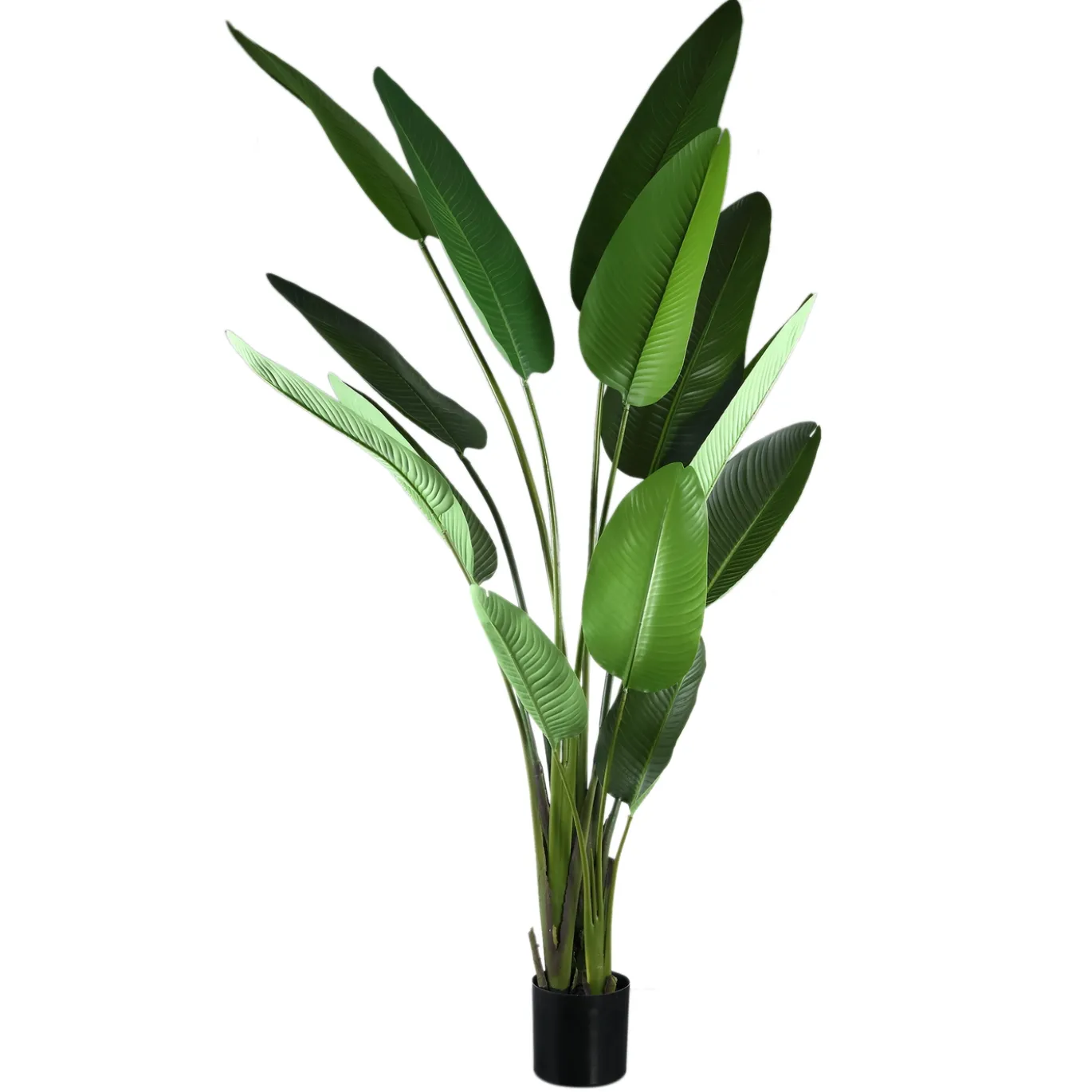 PTMD Kunstplant Strelitzia Real Touch XL