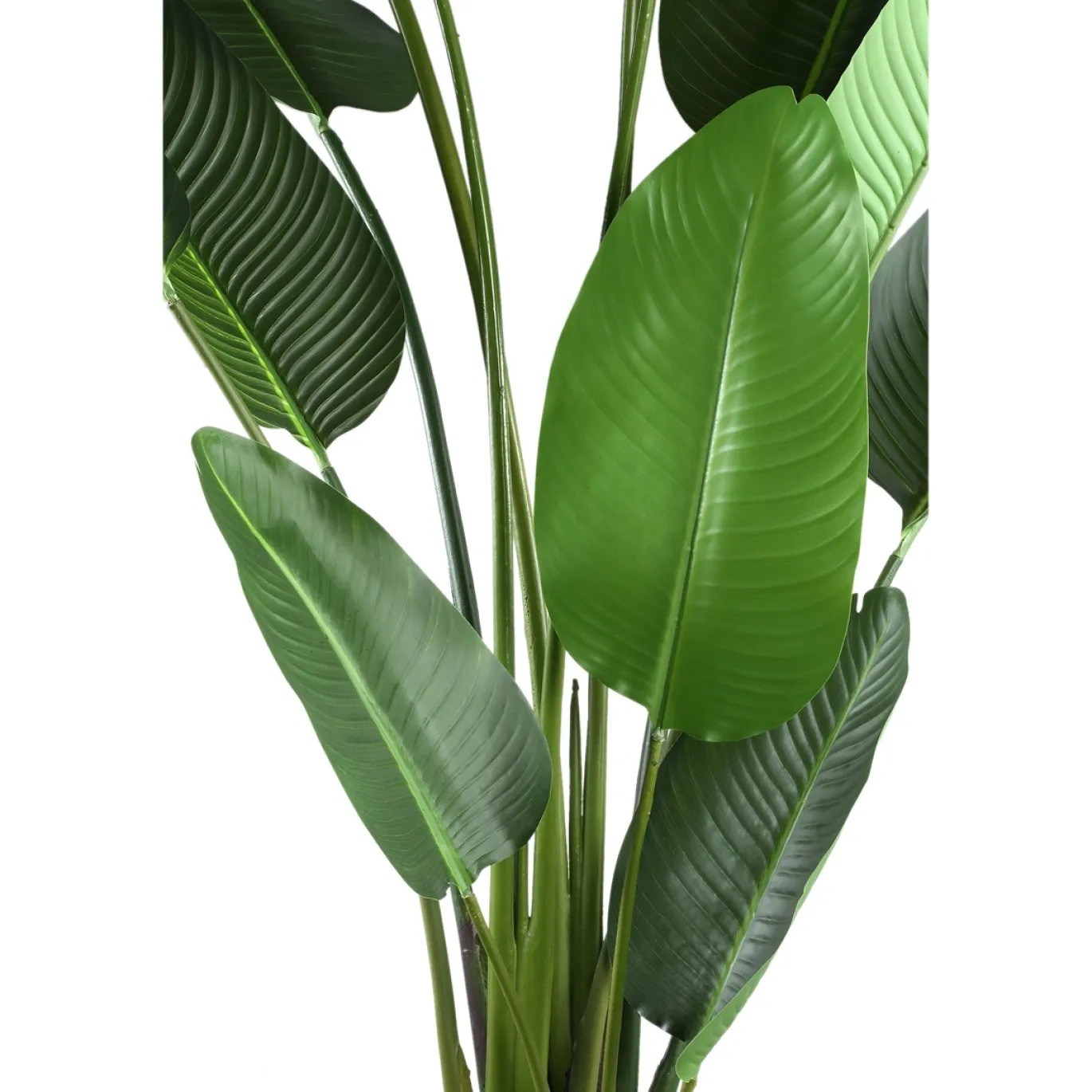 PTMD Kunstplant Strelitzia Real Touch XL