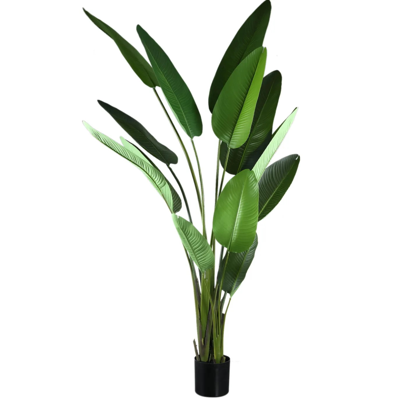 PTMD Kunstplant Strelitzia Real Touch XL
