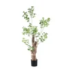 PTMD Kunstplant Triangularis 180cm