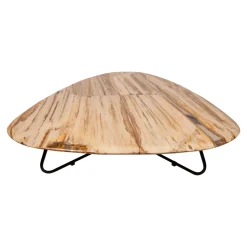 PTMD Salontafel Deeba Versteend Hout 130cm