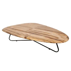 PTMD Salontafel Deeba Versteend Hout 130cm