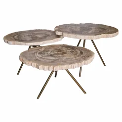 PTMD Salontafel New Khine Versteend Hout Brass Set van 3