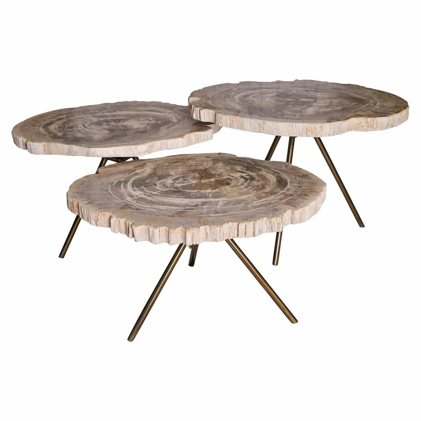 PTMD Salontafel New Khine Versteend Hout Brass Set van 3