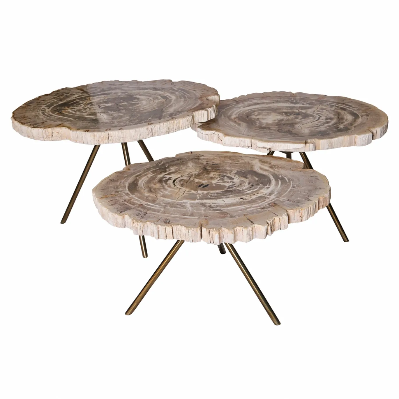 PTMD Salontafel New Khine Versteend Hout Brass Set van 3
