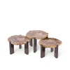 PTMD Salontafel Rudi Versteend Hout Naturel Set van 3