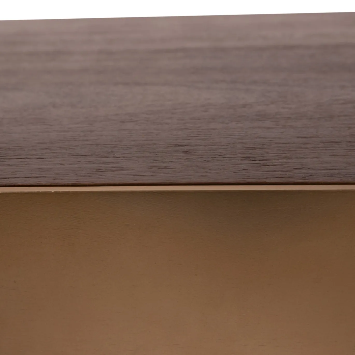 PTMD Salontafel Warren Donkerbruin/Goud 90x90cm