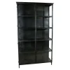 PTMD Vitrinekast Elina Glas Zwart Iron Frame 2-Deurs