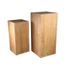 PTMD Zuil Gustavo Naturel Eiken Fineer Set van 2 80/100cm