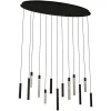 Richmond Hanglamp Oxley Zwart 13-Lichts