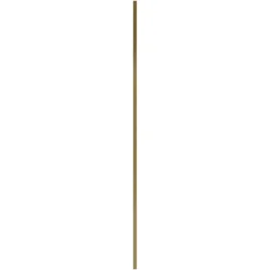 Richmond Spiegel Draven Champagne Goud