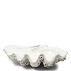 Rivièra Maison Decoratie Shell Oceanis XL