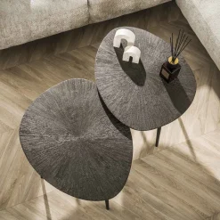 Salontafel Brown Ray Metal Organisch Set van 2 - Giga Meubel