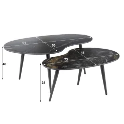 Salontafel Fossil Niervormig Zwart Set van 2 - Giga Meubel