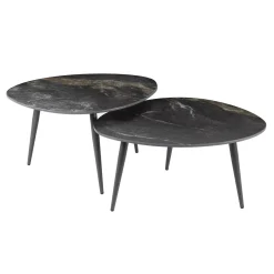Salontafel Fossil Organisch Zwart Set van 2 - Giga Meubel