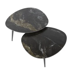 Salontafel Fossil Organisch Zwart Set van 2 - Giga Meubel