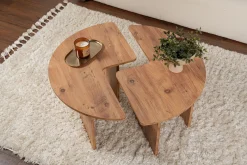 Salontafel Moira Bruin Set van 2