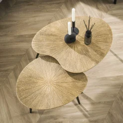 Salontafel Ray Metal Niervormig Brons Set van 2 - Giga Meubel