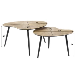 Salontafel Ray Metal Niervormig Brons Set van 2 - Giga Meubel