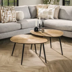 Salontafel Ray Metal Organisch Brons Set van 2 - Giga Meubel