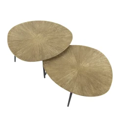 Salontafel Ray Metal Organisch Brons Set van 2 - Giga Meubel