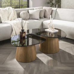 Salontafel Tinto Driehoekig Set van 2 Brons Glas - Giga Meubel