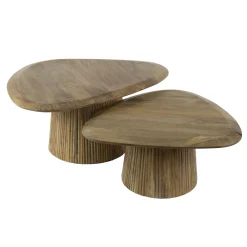 Salontafel Wave Driehoek Mangohout Set van 2 - Giga Meubel