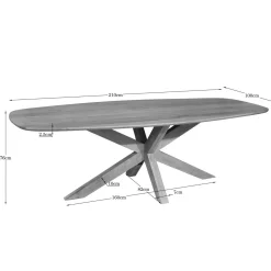 Starfurn Eettafel Nina Deens ovaal 210cm